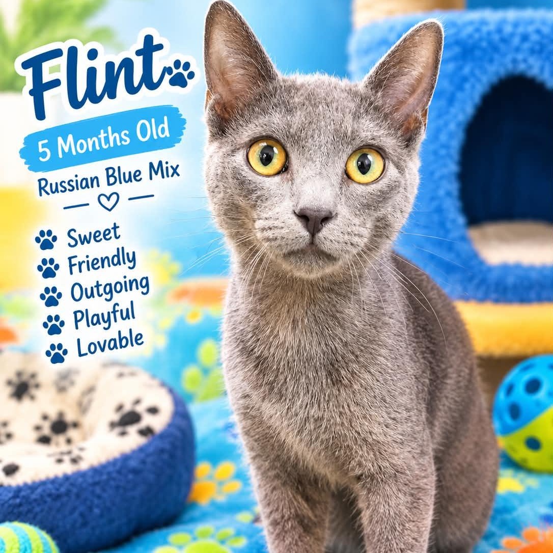 Flint photo