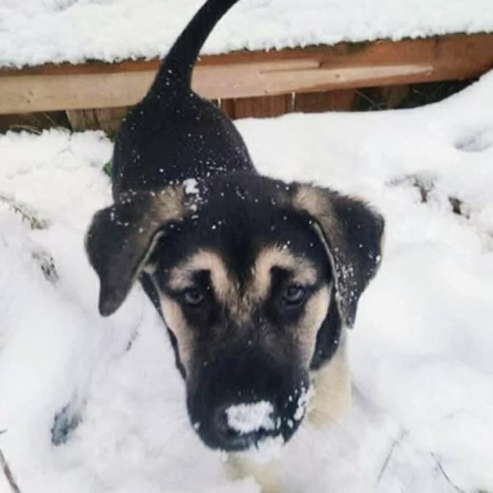 Autumn (20251021-11) — thumbnail 2