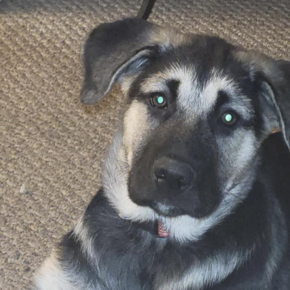 Autumn (20251021-11) — thumbnail 4