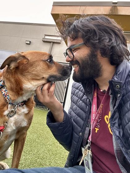 Ranger, Adoptable, Adult Male Mixed Breed & Mixed Breed.