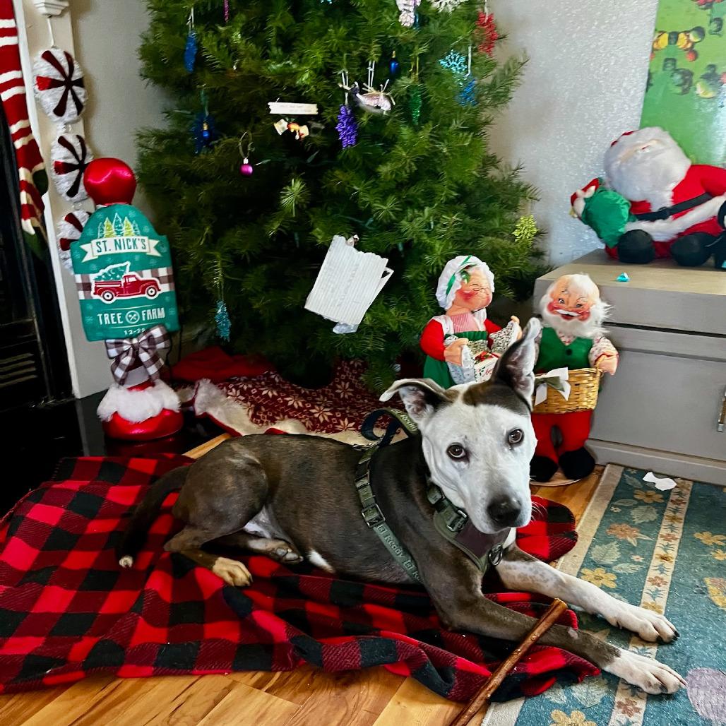 GIDDYUP — thumbnail 2