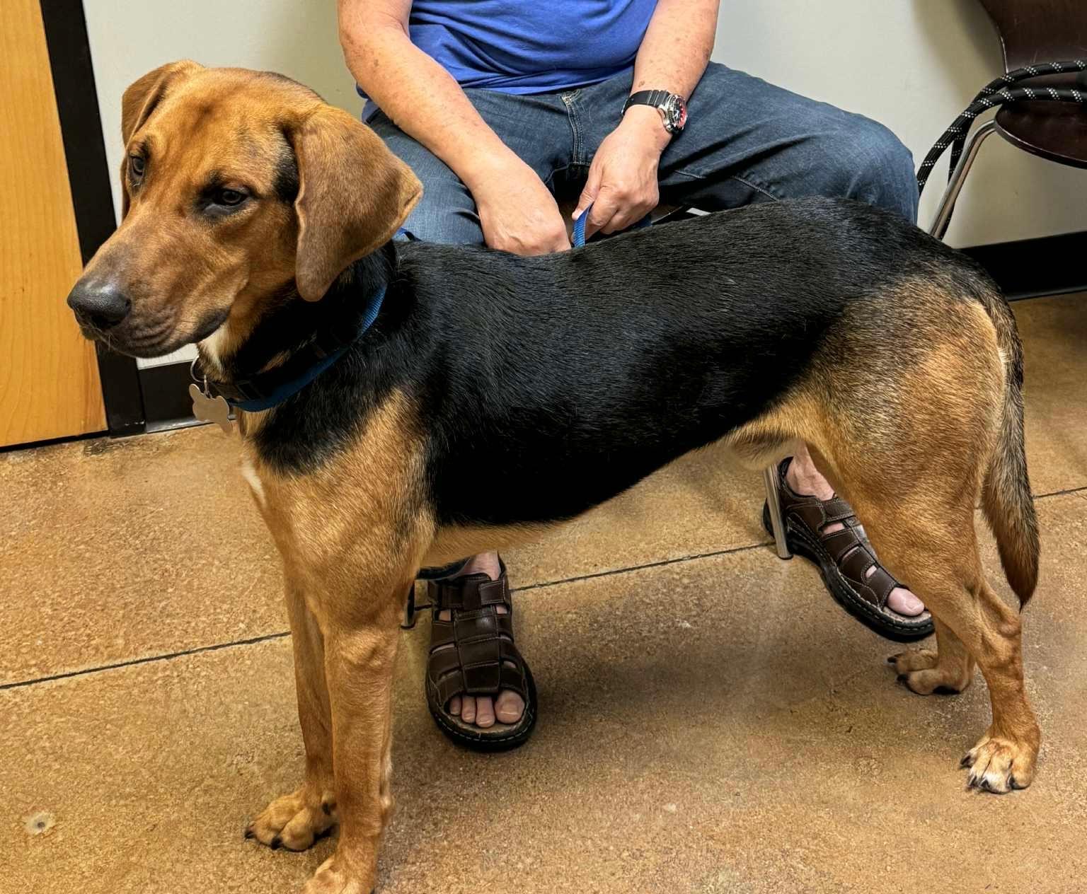 ~ Courtesy ~ Bentley