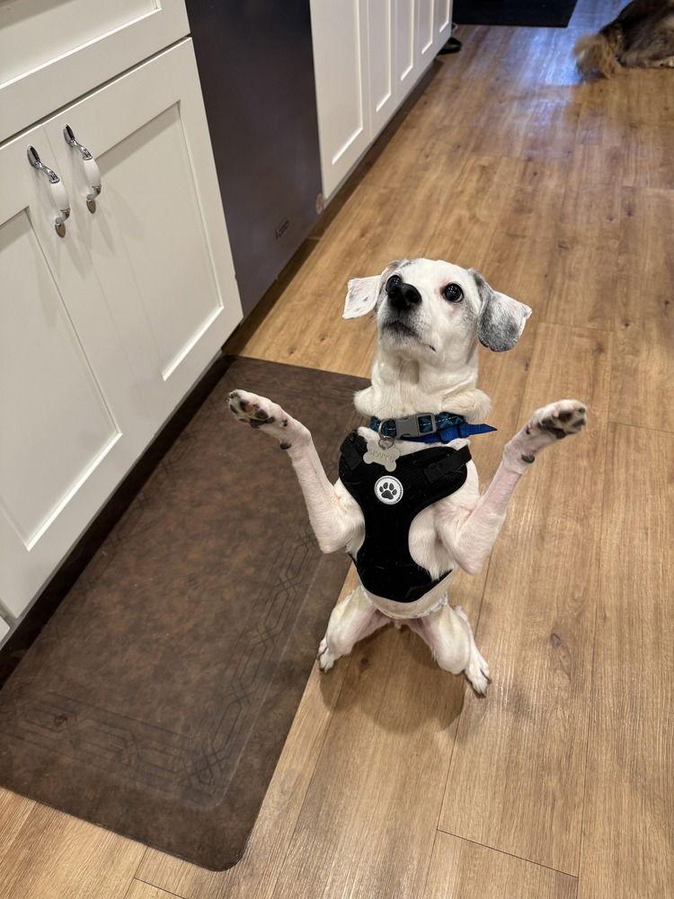 Buster~ — thumbnail 3