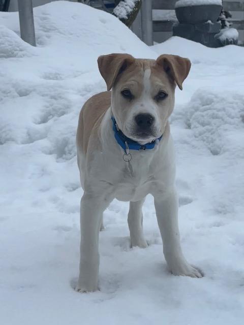 Gin Spirits — thumbnail 2