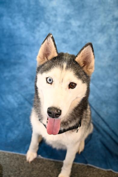 Everest — thumbnail 5