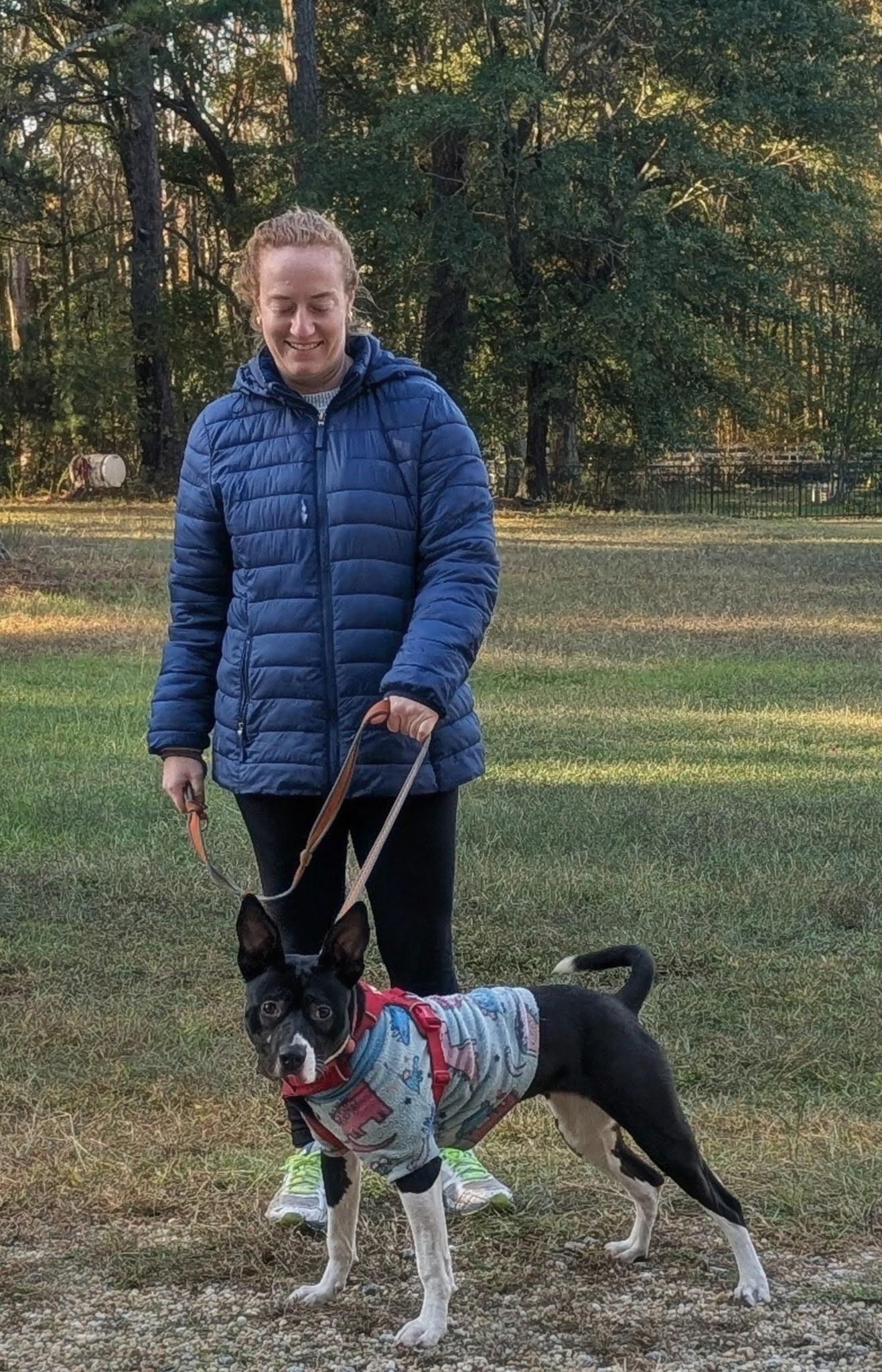 Fizzie, a Adoptable mixed breed in Clayton, NC image 4/6