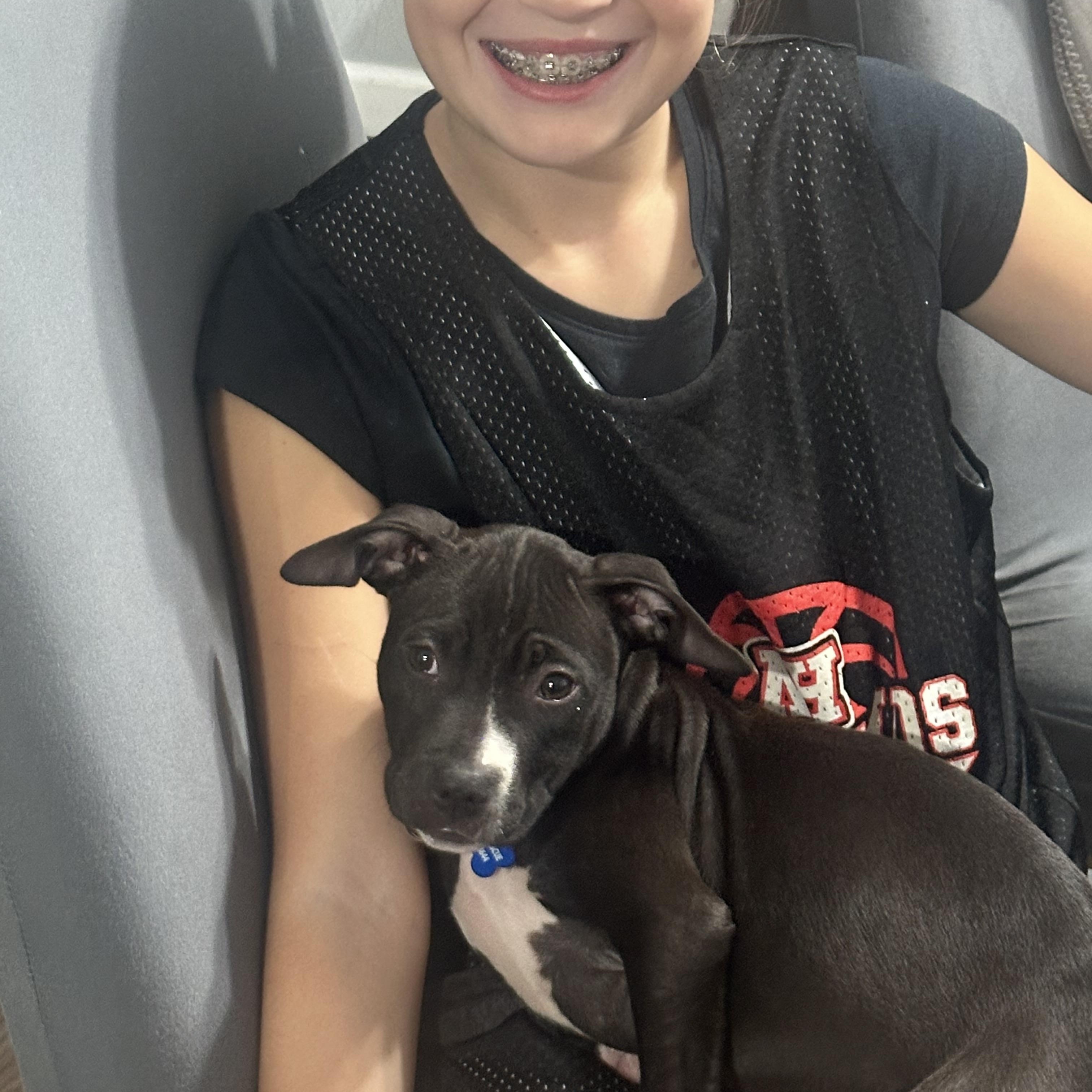 Star, a Adoptable mixed breed in Mahwah, NJ image 5/6