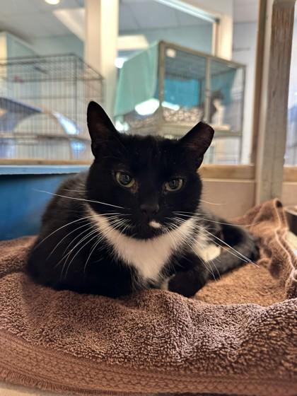 Patty — thumbnail 2