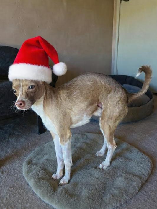 Tonka In La thumbnail 3