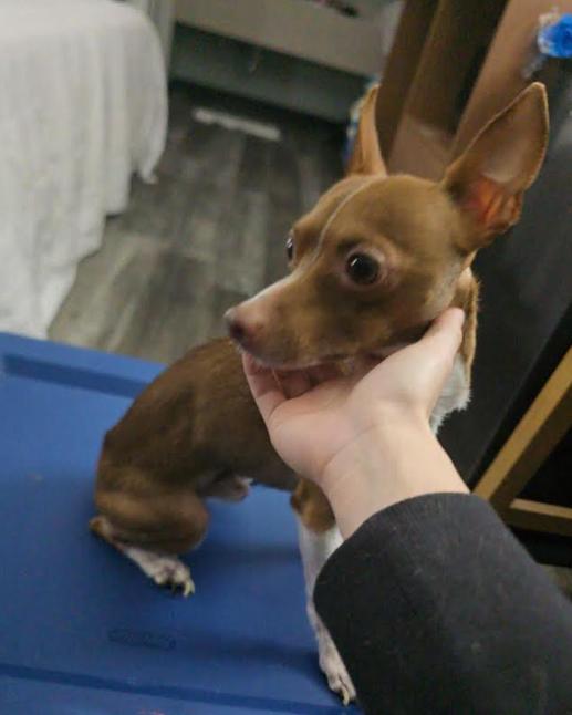 Tonka In La thumbnail 4