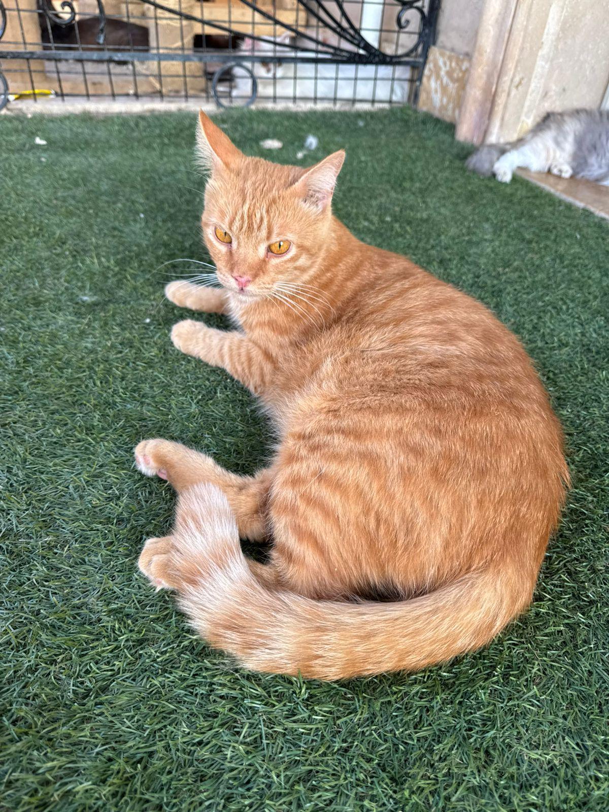 Winnie photo 2