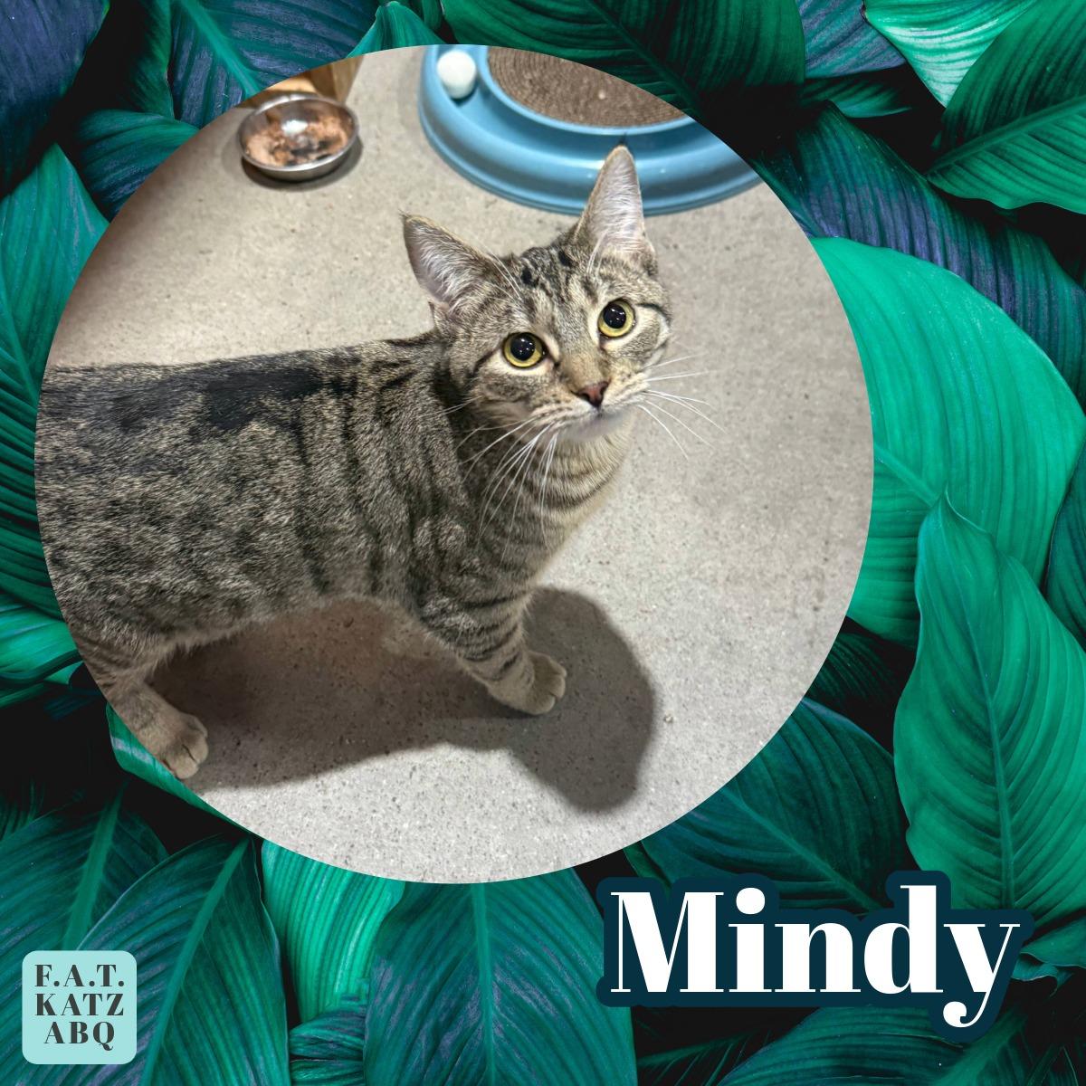 Mindy
