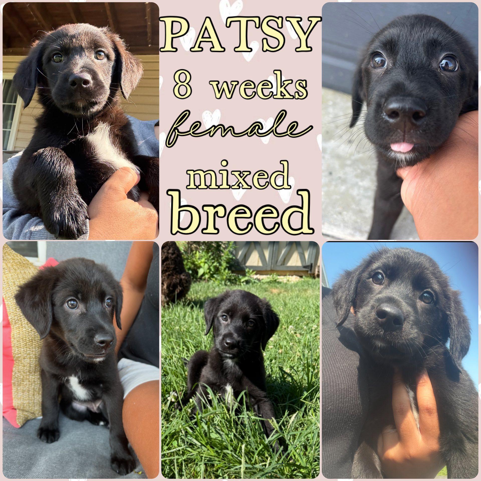 Patsy