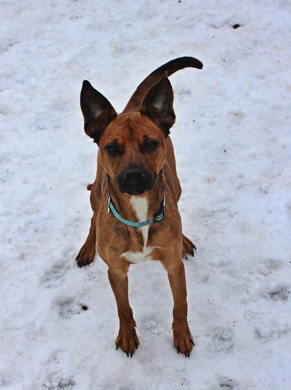 Mercedes — thumbnail 2