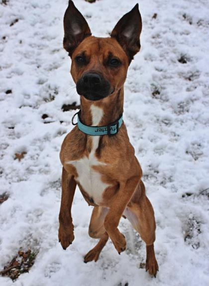 Mercedes — thumbnail 3