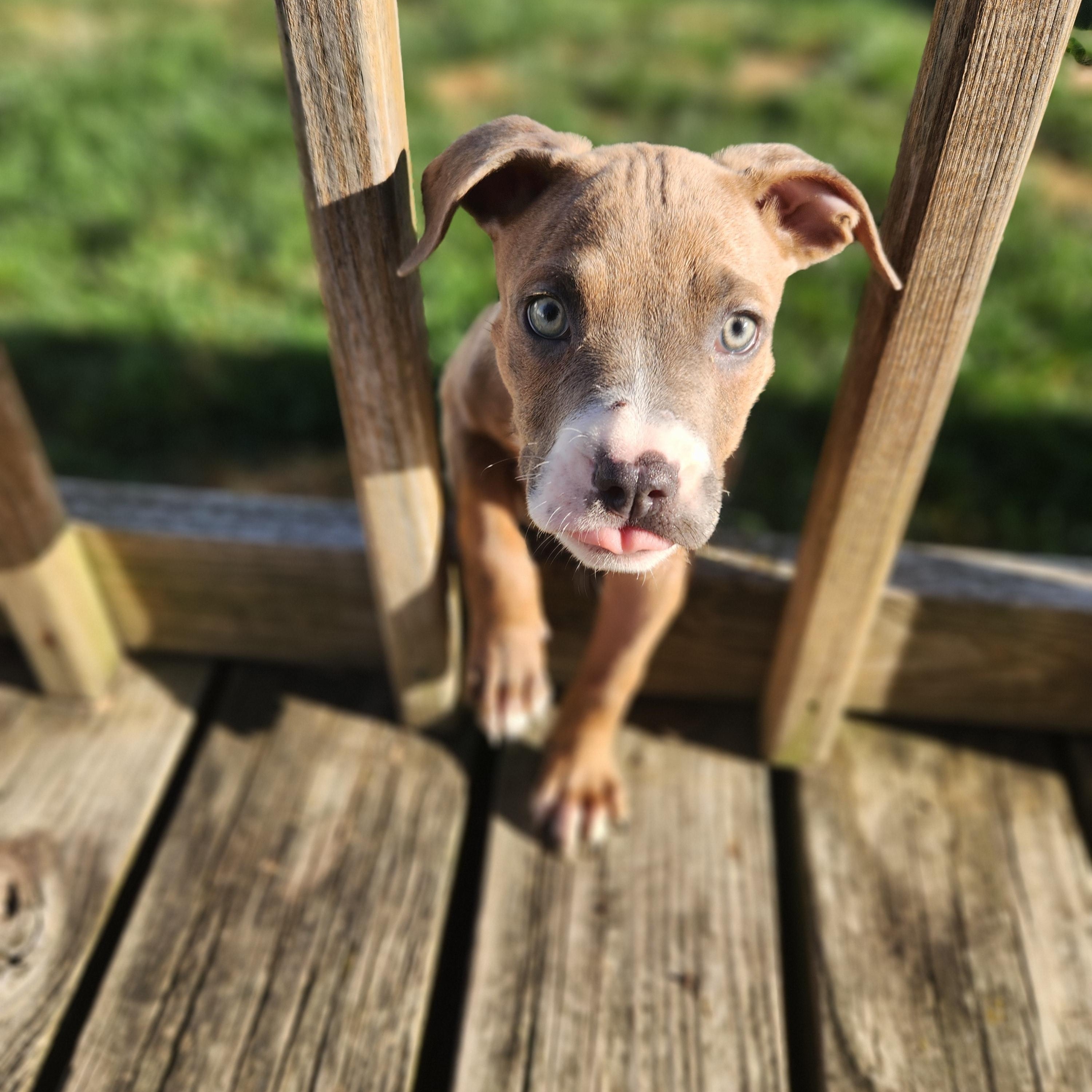 Skye