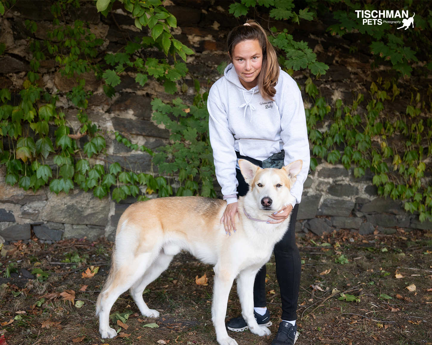 JONATHON, Adoptable, Adult Male Husky.