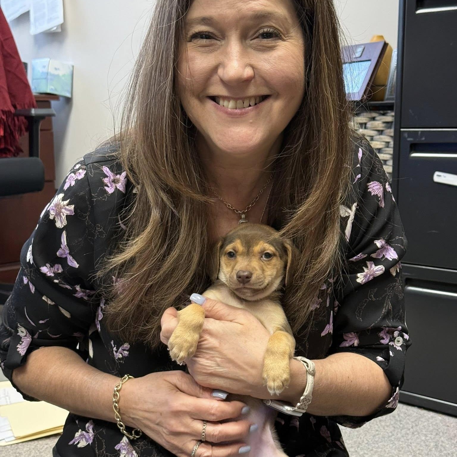 Enlarge Kaitlyn M, a Adoptable mixed breed in Nanuet, NY image 4/6