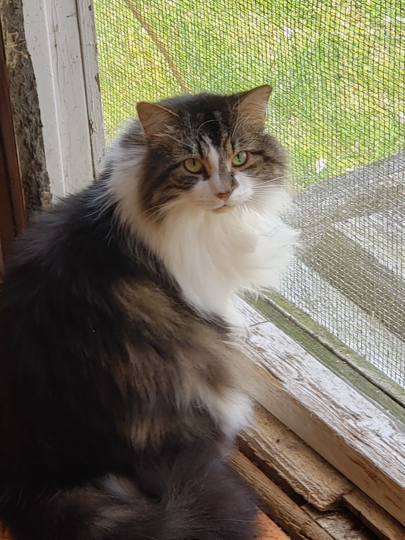 Karen - please read!, Senior Female unknown