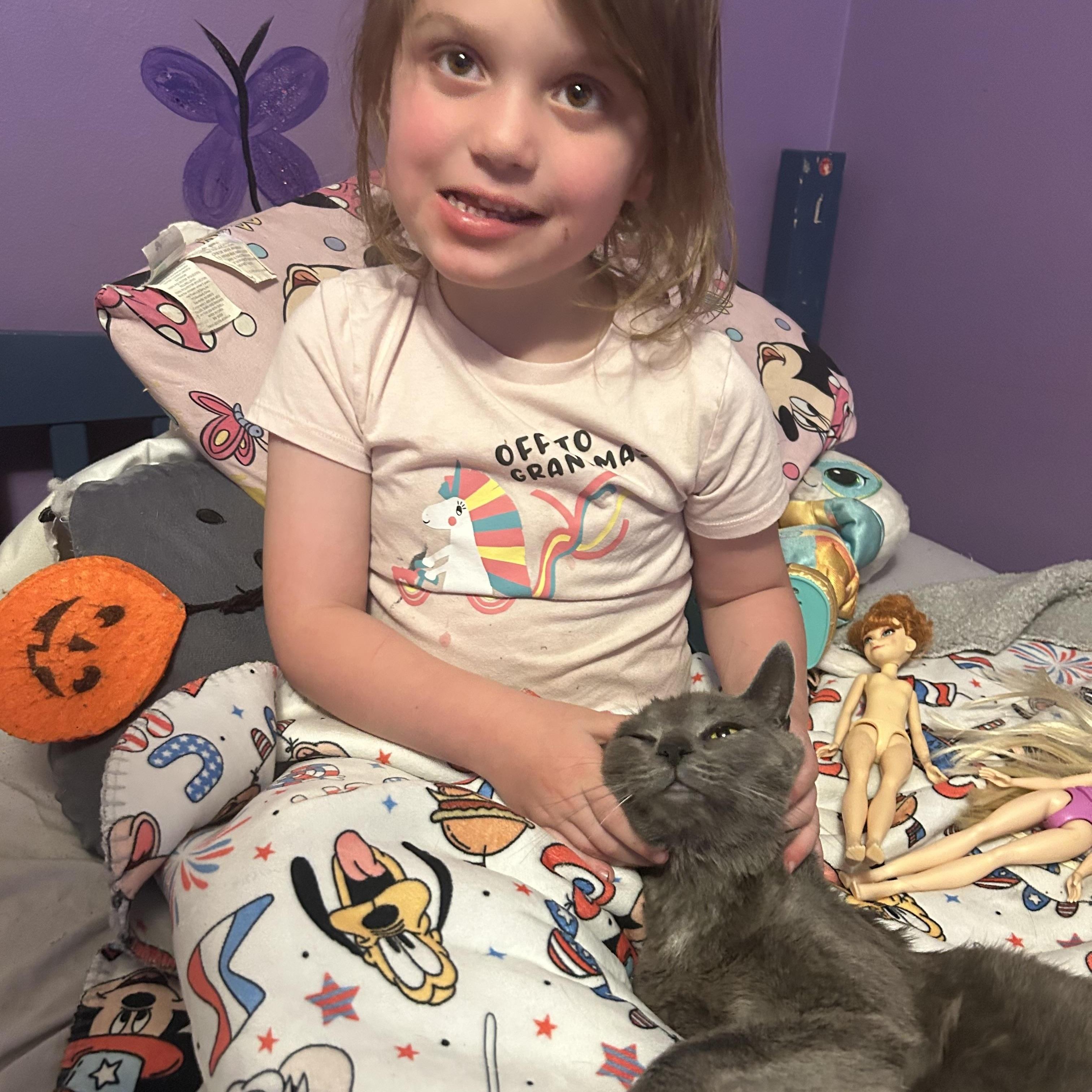 Momma, a ADOPTABLE Domestic Short Hair in Cleveland, OH image 6/6