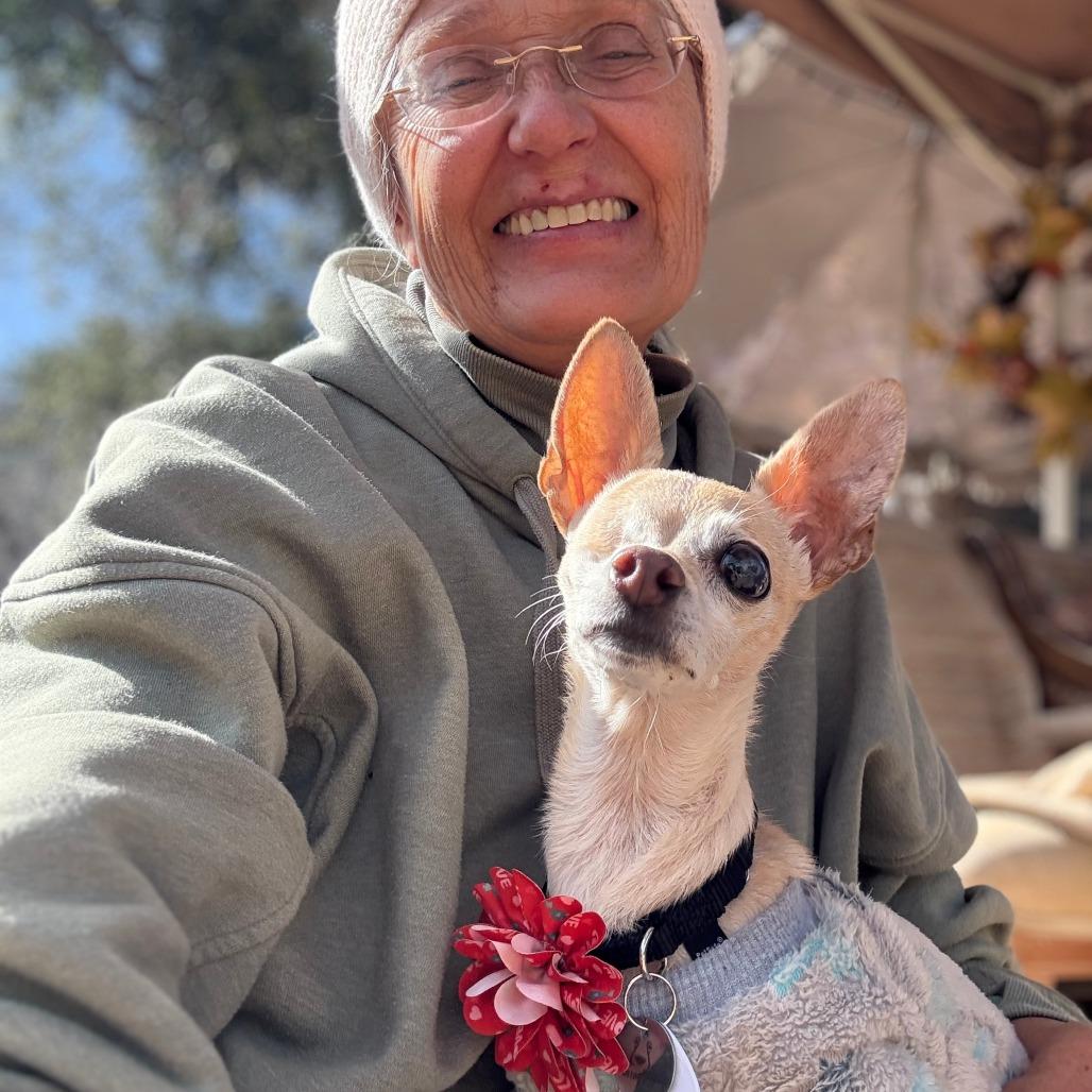 Wabi Sabi — thumbnail 2