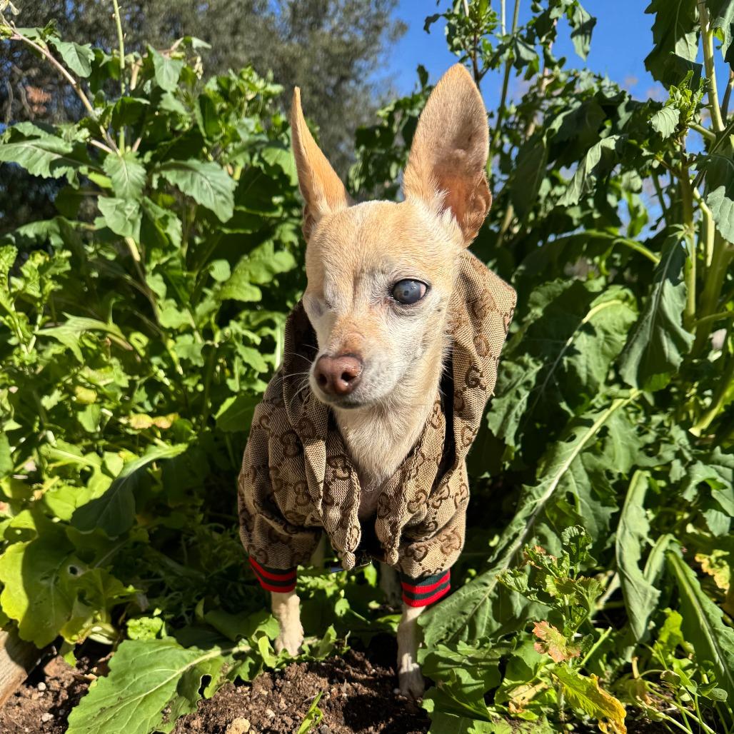 Wabi Sabi — thumbnail 3