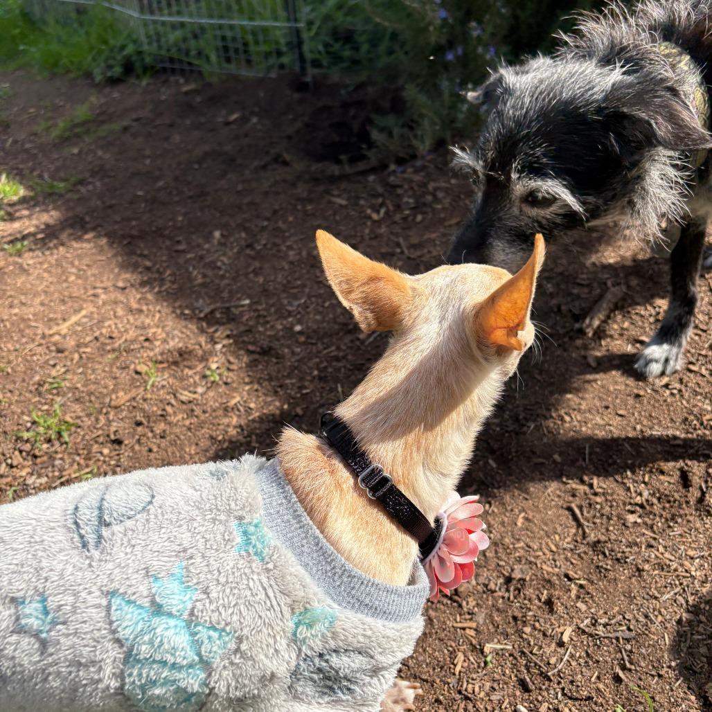 Wabi Sabi — thumbnail 4