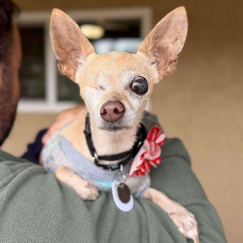 Wabi Sabi — thumbnail 5