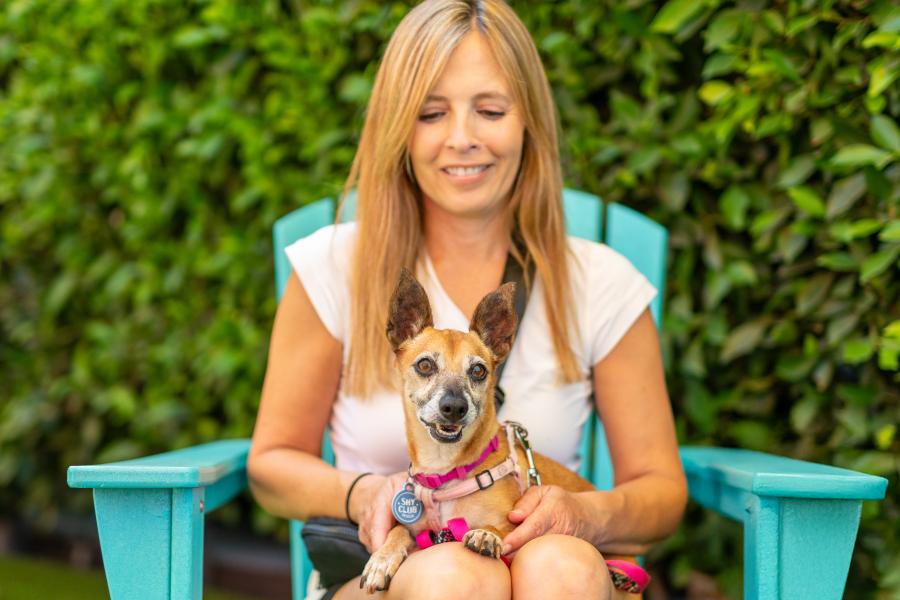 Enlarge Ms. Brownie, a Adoptable mixed breed in sherman oaks, CA image 2/6