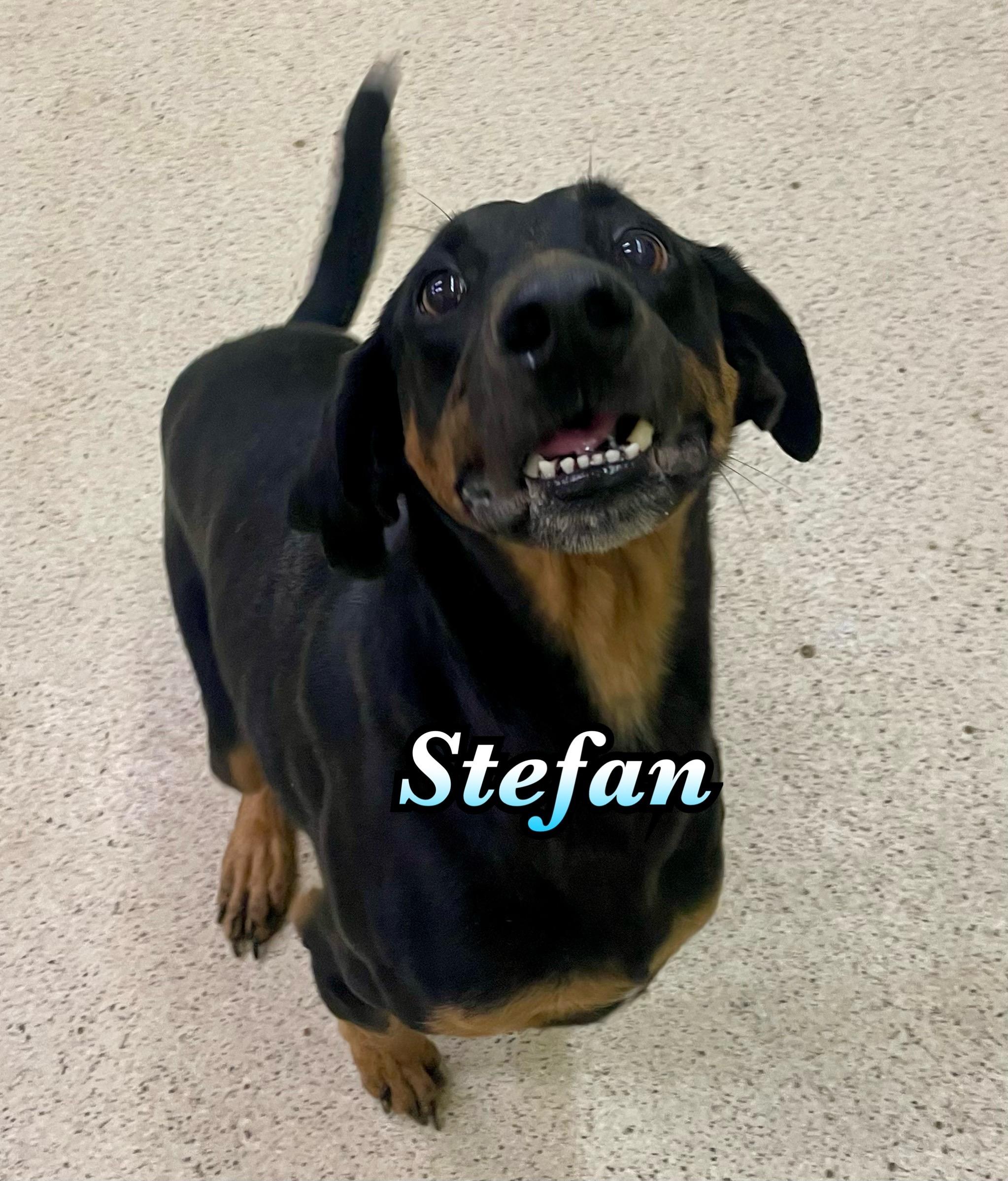Stefan