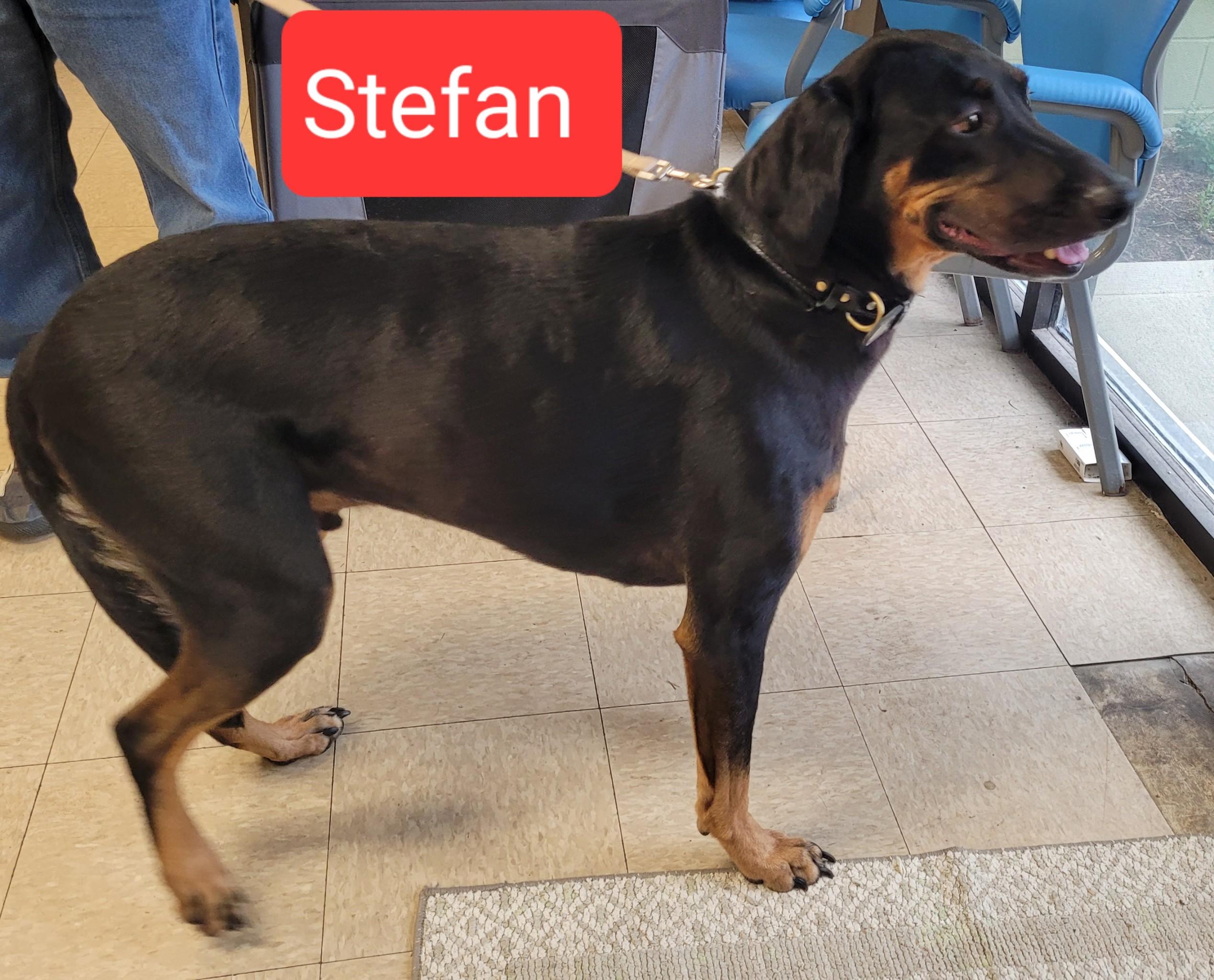 Stefan