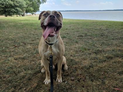 Muttley — thumbnail 3