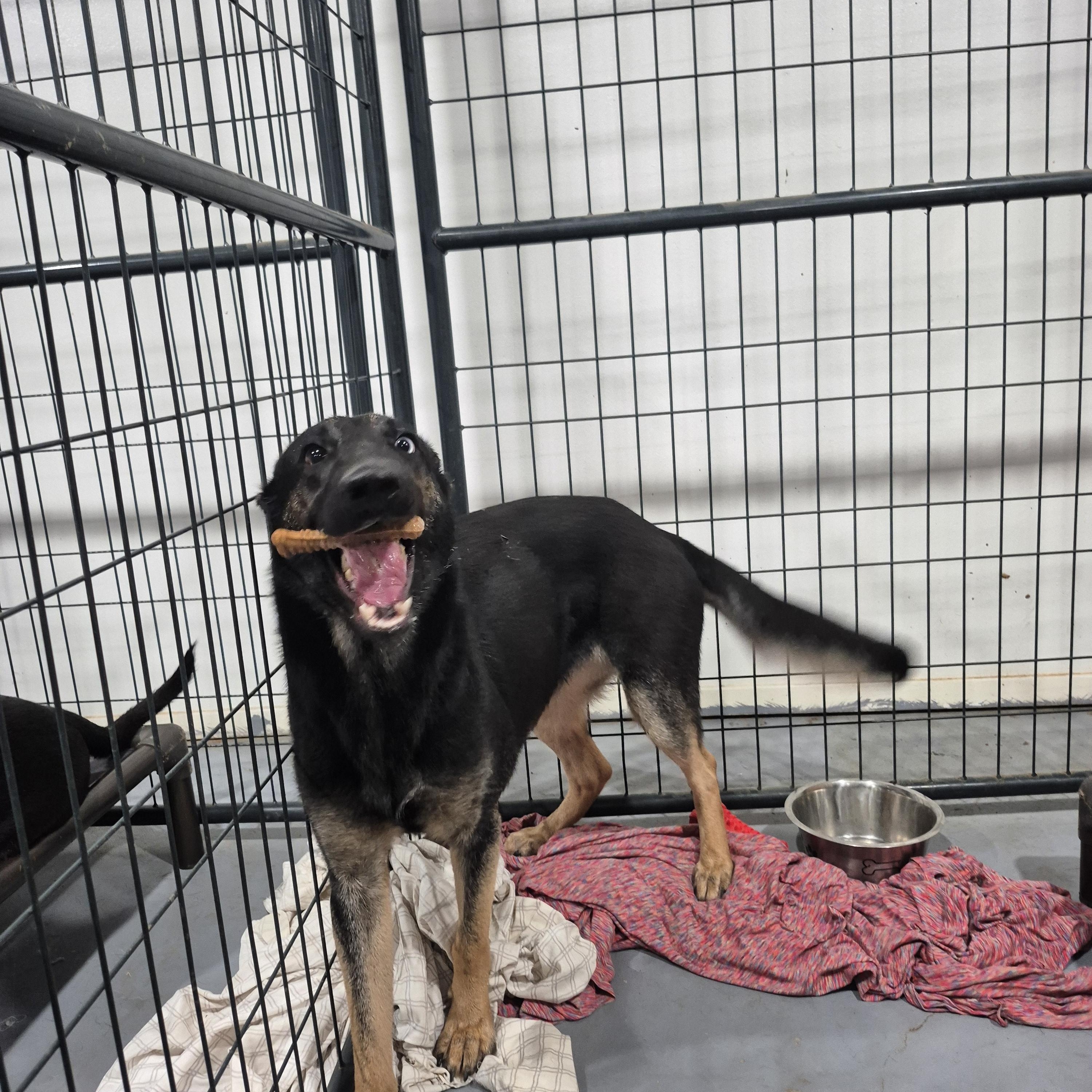 That's So Raven thumbnail 5