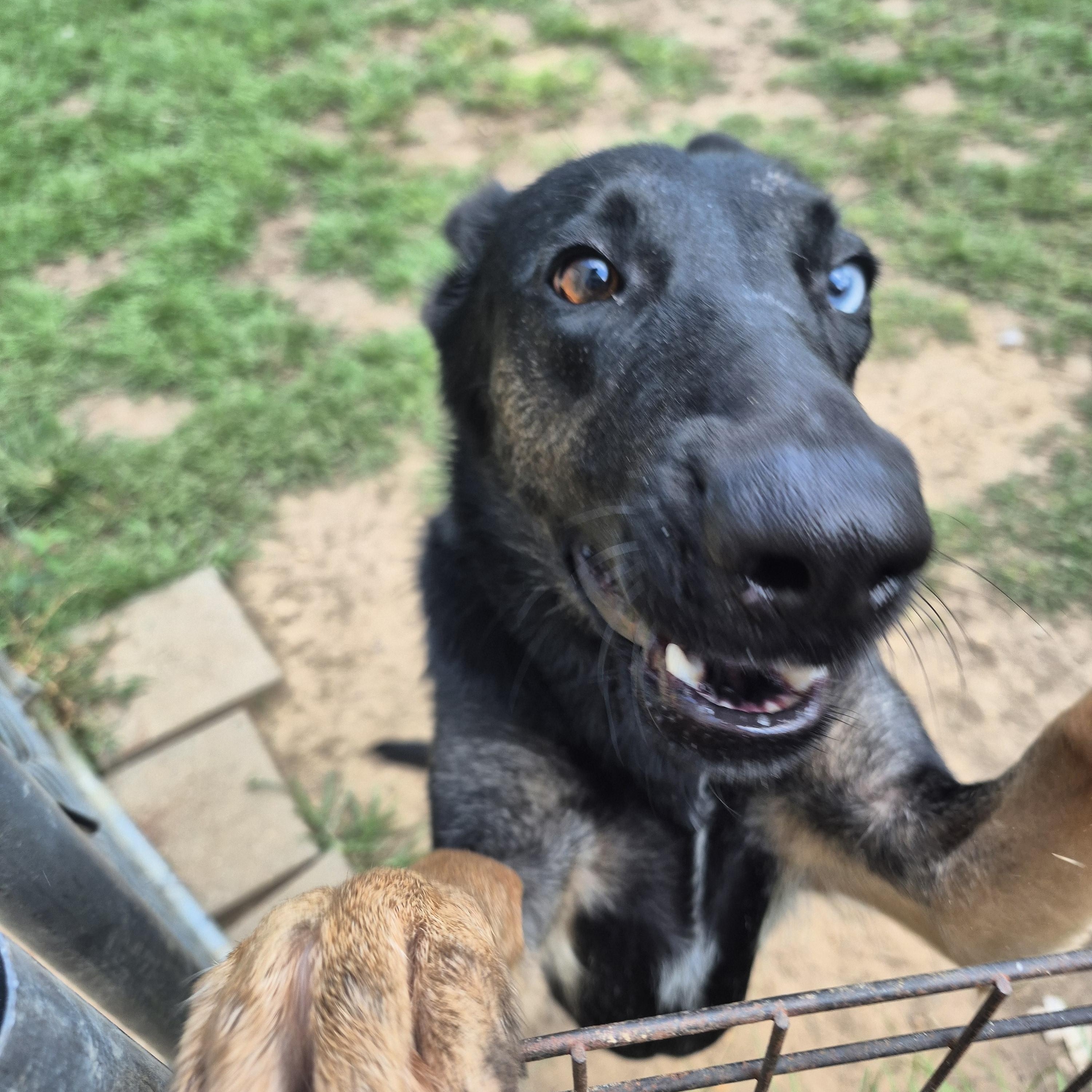 That's So Raven thumbnail 4