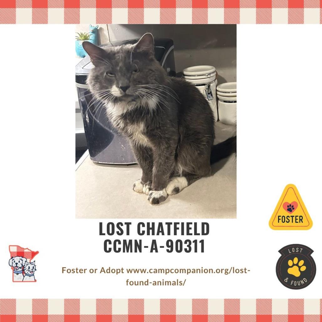 Tony is LOST — thumbnail 2