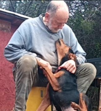 Enlarge Boone, a Adoptable mixed breed in Chase City, VA image 1/2