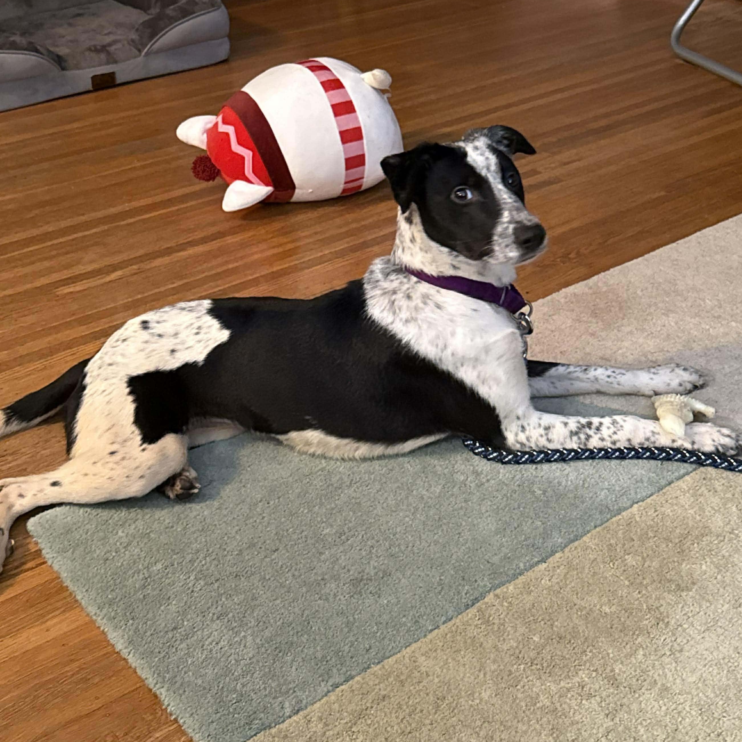 Checkers thumbnail 3