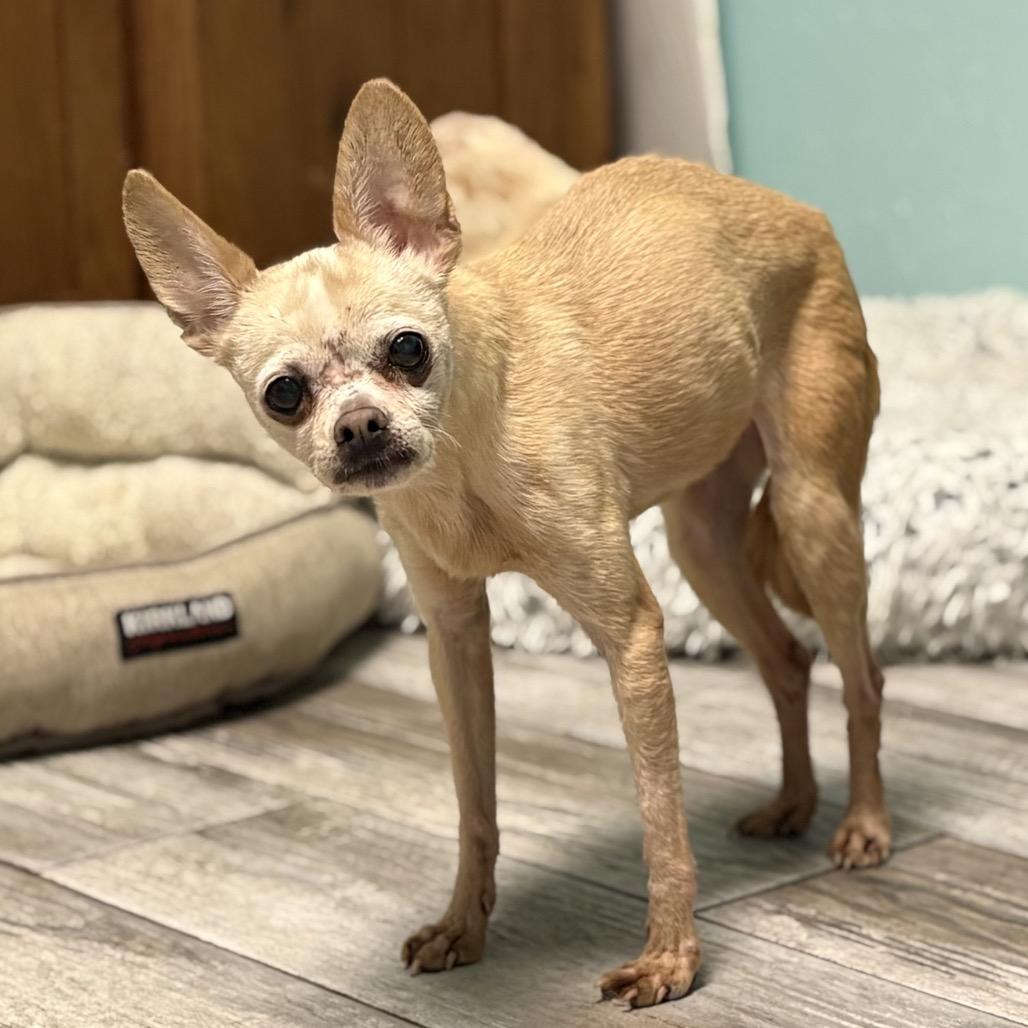 Delilah — thumbnail 2