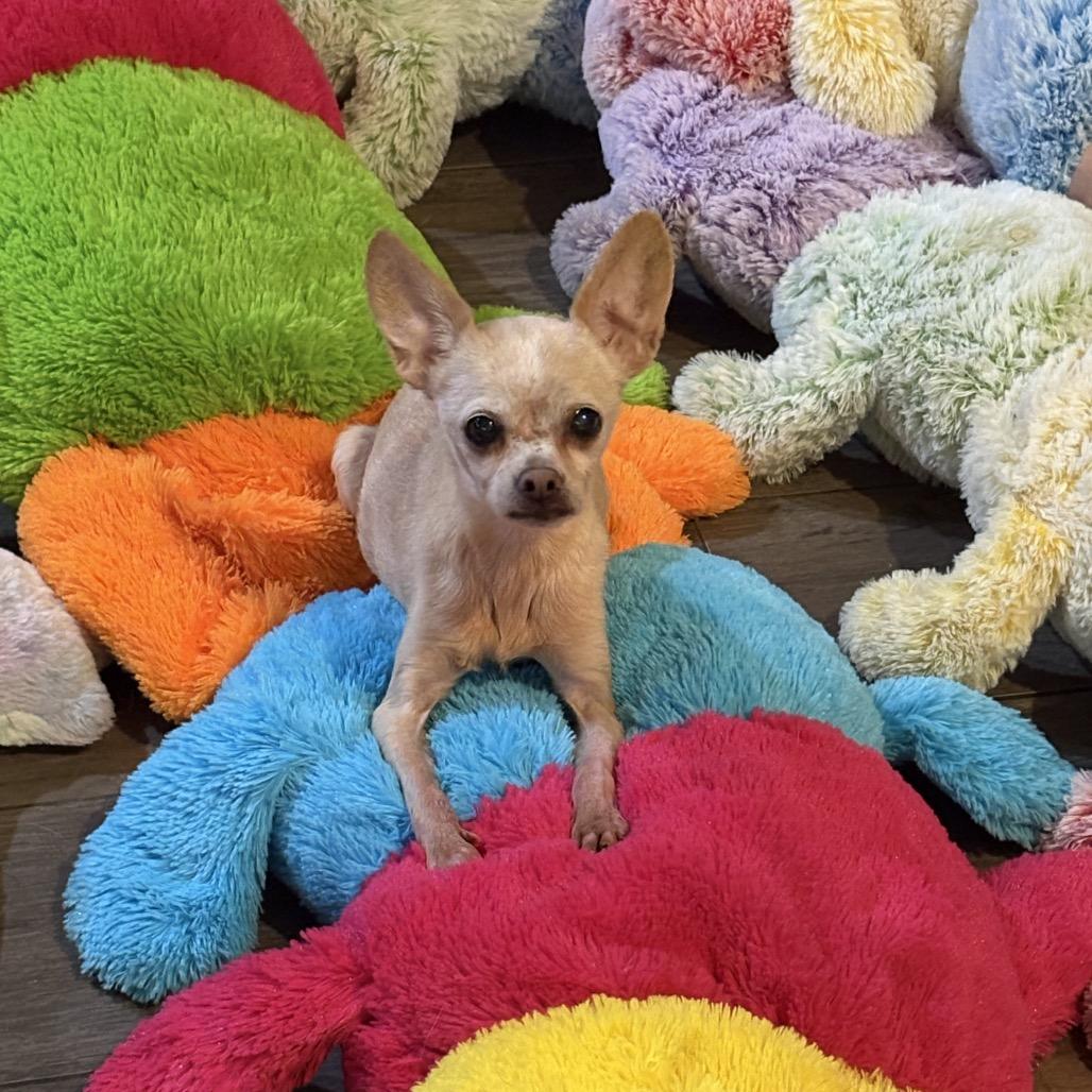 Delilah — thumbnail 3