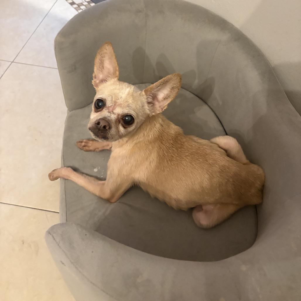 Delilah — thumbnail 4