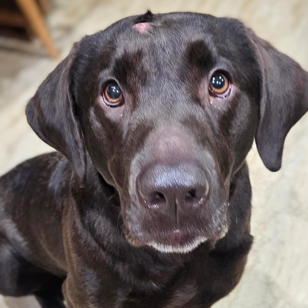 Atenas - Home Visit in Process 2