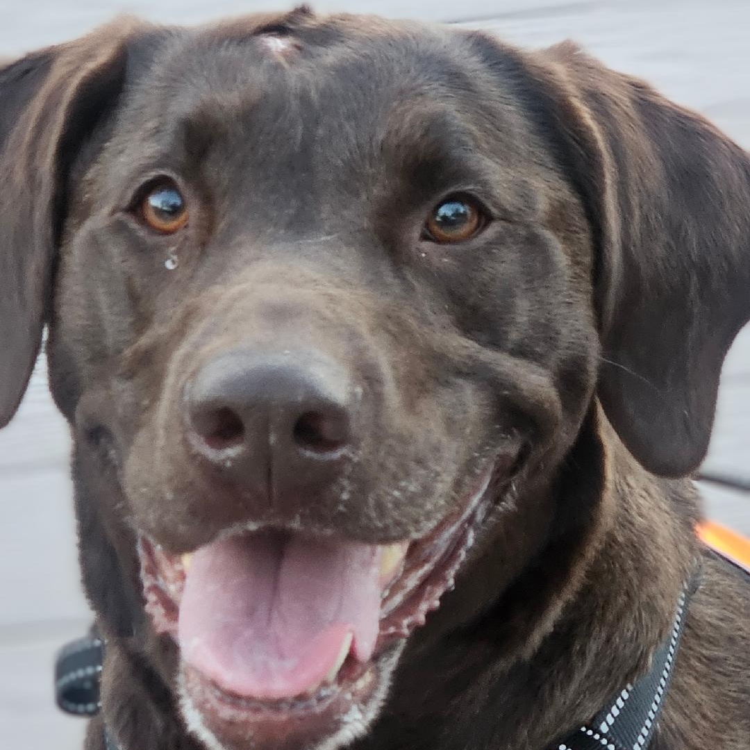 Atenas - Home Visit in Process 3