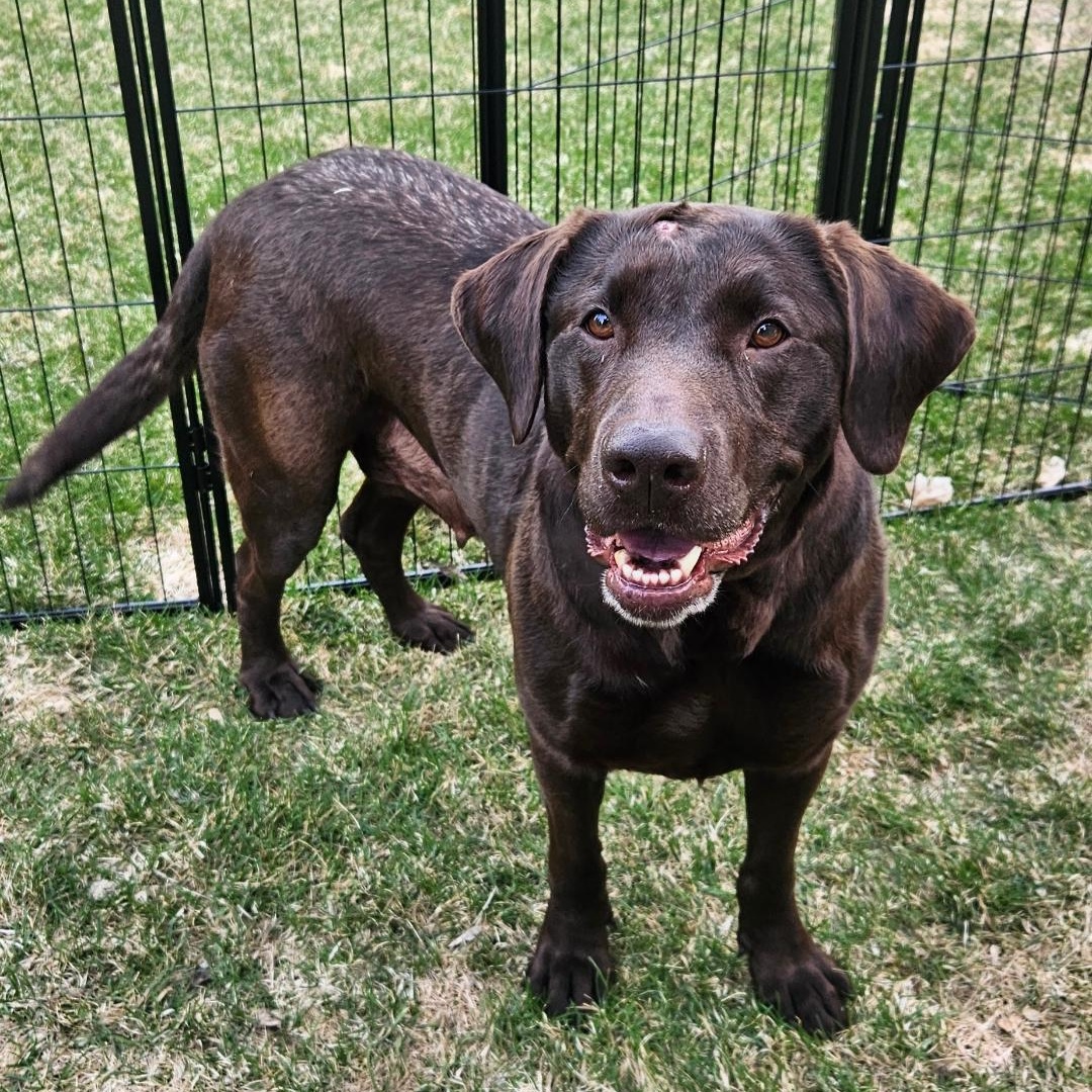 Atenas - Home Visit in Process 4