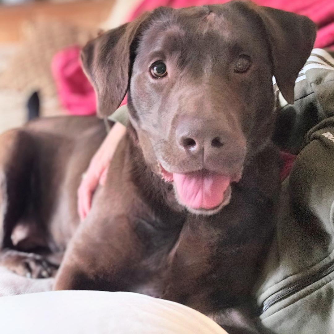 Atenas - Home Visit in Process 1