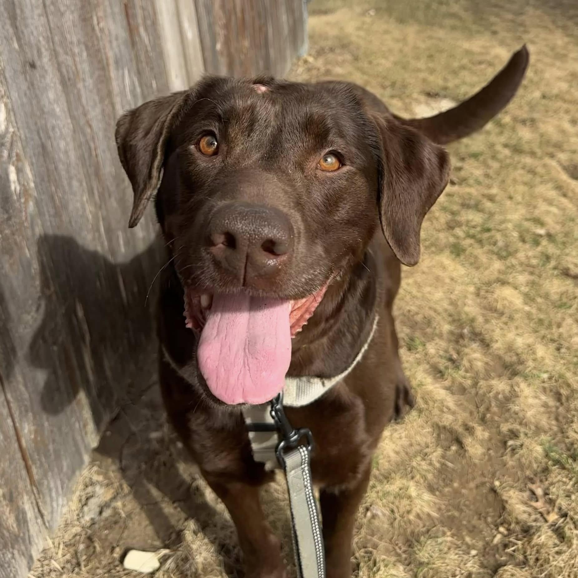 Atenas - Home Visit in Process 5