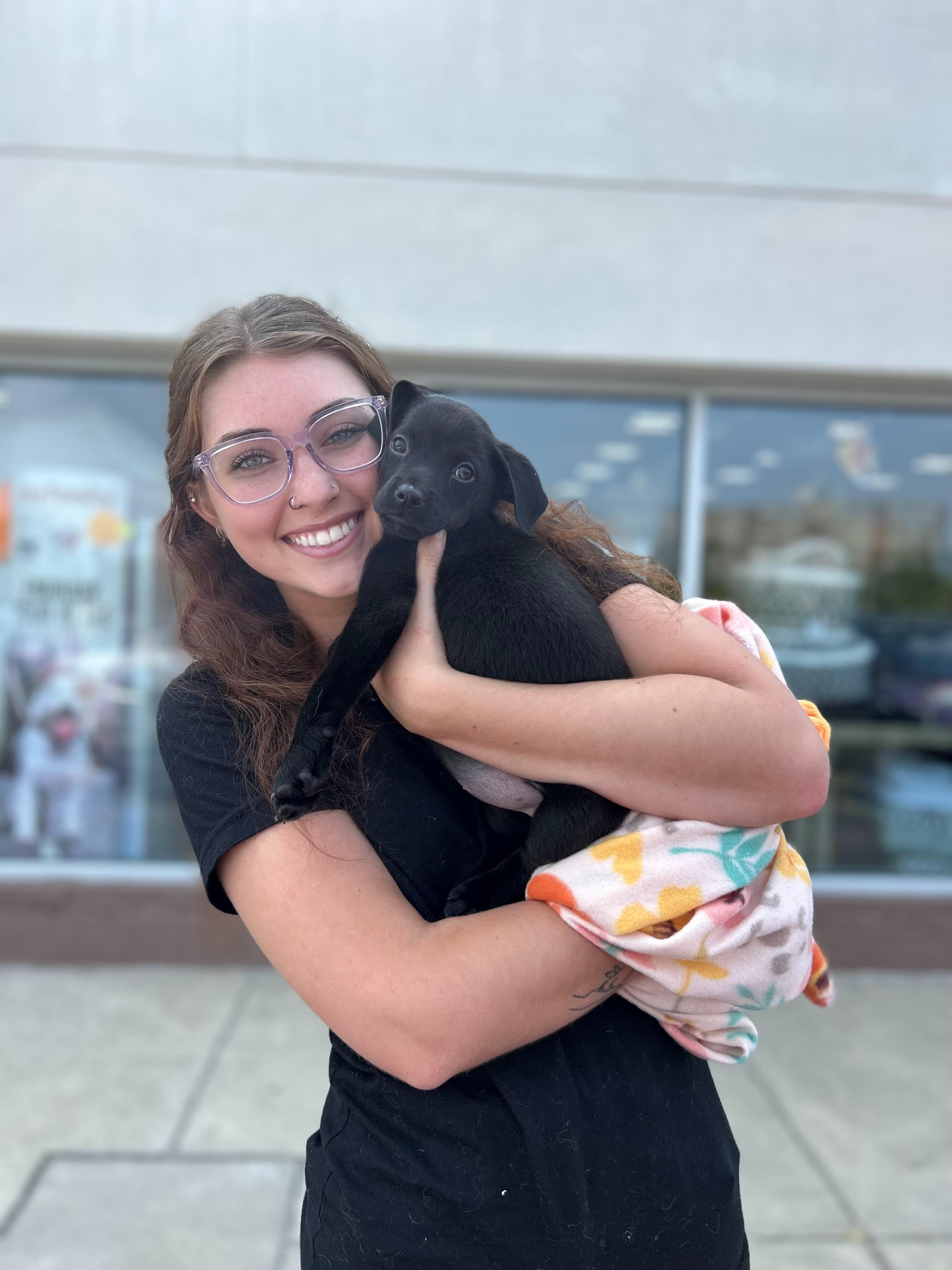 Enlarge Flower Power Litter <3, a Adopted mixed breed in Lincoln Park, MI image 4/6