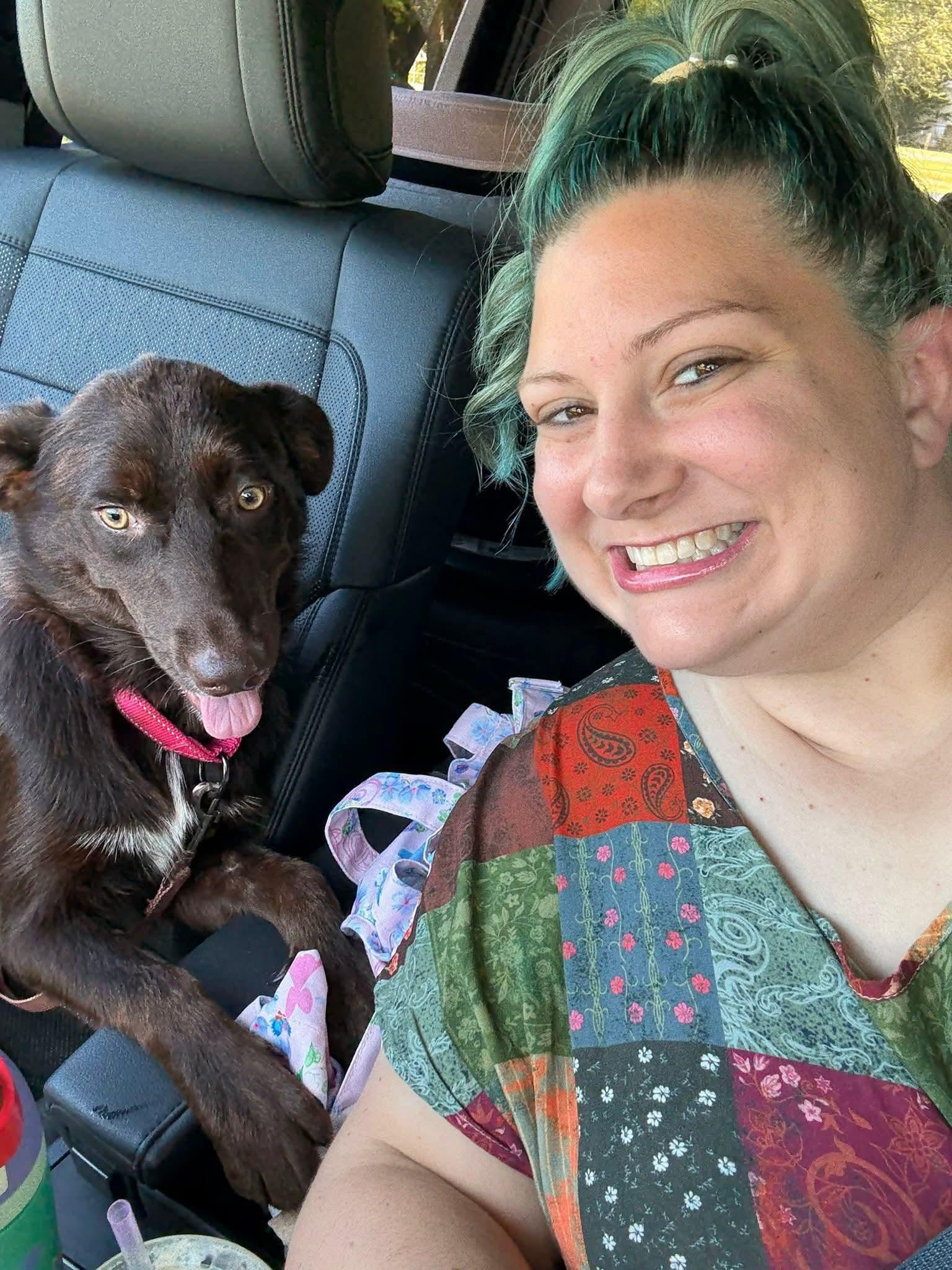 Enlarge Simea, a Adopted mixed breed in Newcastle, OK image 3/5