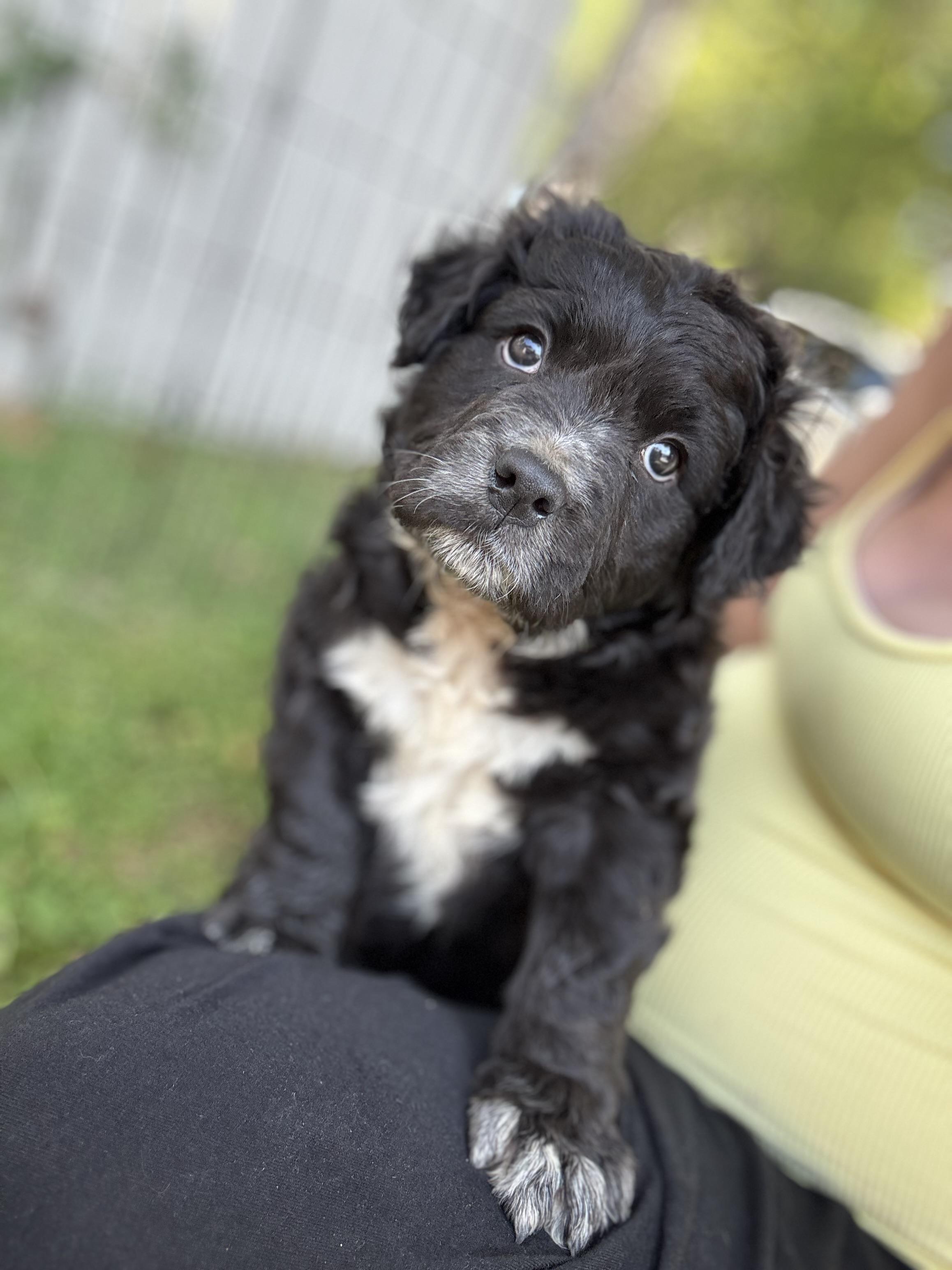 Peggy
