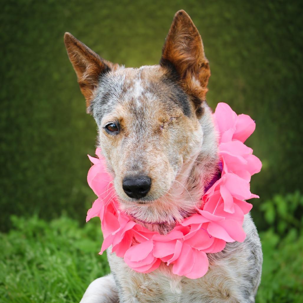 Moxie — thumbnail 3