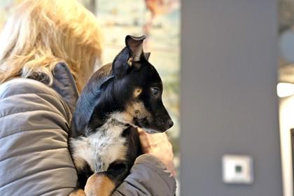 Spam — thumbnail 2